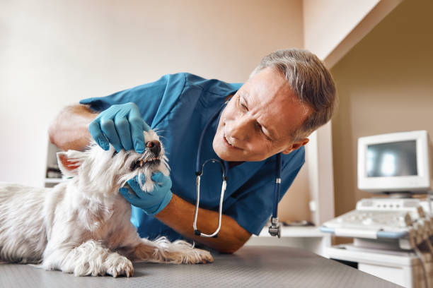 Best Emergency Treatment for Dental Infections or Abscesses in Lamont, CA